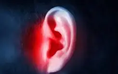 NeuroZen auditory reviews 2026